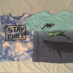 🌵2/$10 Graphic T bundle 3T